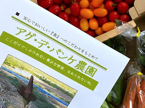 【タップリ！！お得セット】北海道から野菜詰め合わせ　トマトと色々な8種類以上