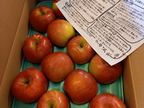 甘くて美味い！シナノスイート　長野県産　ご家庭用　約5kg(10個〜15個)