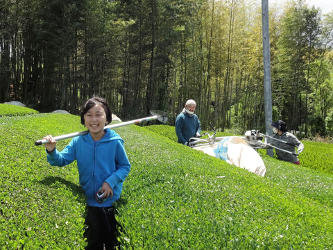 (宅配便）ポンとお水出しも人気です♡TeaBag 京都のほっこり紅茶！やさしい甘みの 京紅茶【風花】ティーパック（３ｇ×１８コ）（農薬・化学肥料・除草剤不使用）自然素材パック使用♡