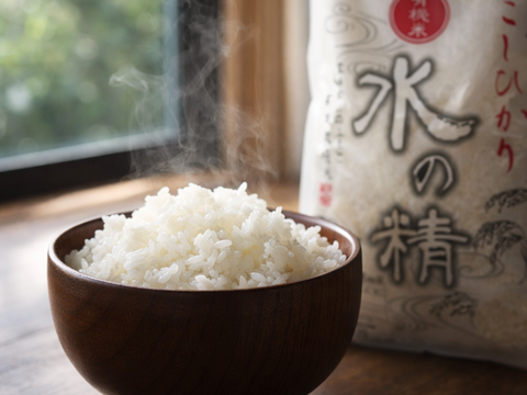 安心・安全 有機JAS認証 コシヒカリ 5kg 令和7年産 石川県産 有機栽培米 水の精 白米 5kg
