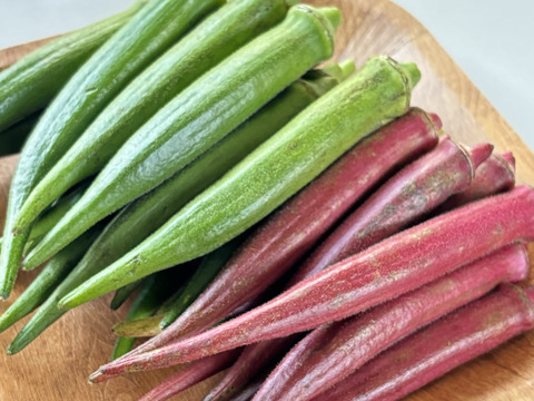 わんぱく農法で作った‼️甘々ネバネバ丸オクラ(600g)