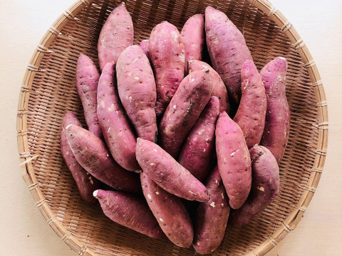 1ヶ月以上熟成！ねっとり甘い「紅はるか」5kg