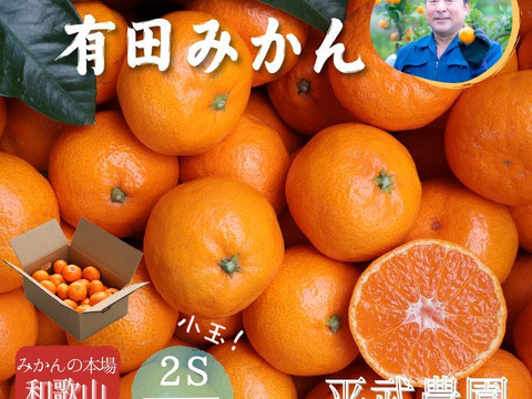 【冬ギフト】農家直送！有田みかん2kg≪2Sサイズ（小玉）秀品≫【平武農園】～蛍飛ぶ町から旬の便り～　和歌山｜有田｜田口｜ギフト｜こだわり　産地直送　お取り寄せ