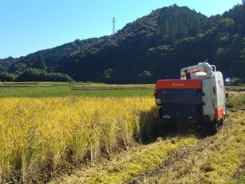 【米冠位】　立神米コシヒカリ　コンテスト受賞米