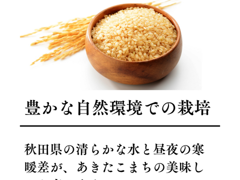 あきたこまち 【玄米】新米 R7年度産 30kg 秋田県産