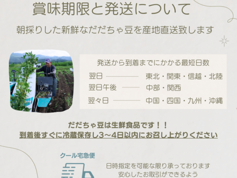 ★訳あり規格外品‼️白山だだちゃ豆１kg【朝どれ】