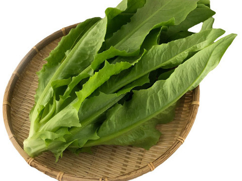 野菜ソムリエ推奨！鍋におすすめの野菜詰め合わせセット【鮮度抜群！鍋を香りと食味で楽しむ8品目】