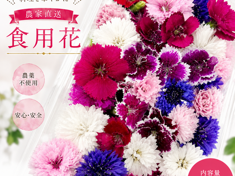 春が最盛期！！！山形の食べる花｜種から農薬不使用で育てたエディブルフラワー (ナデシコ・コーンフラワー・ビオラ各種指定可)押し花やドライにしても！