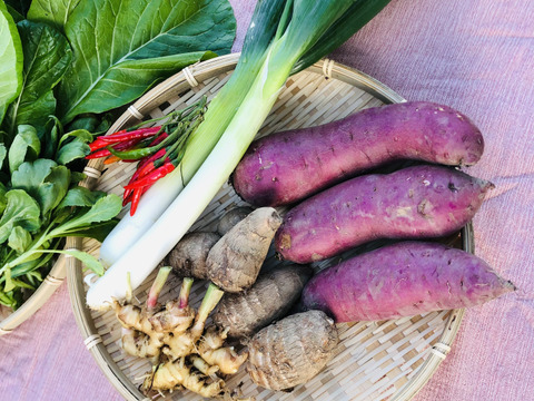 (単身者向け)未来へつなぐ 固定種・在来種 自然栽培野菜セット60サイズ　農薬不使用　有機肥料含む全ての肥料不使用