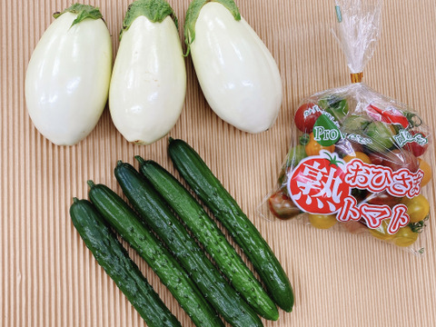【お一人様用】ふわとろ白ナス(3本)とカラフルミニトマト(400g)ときゅうり(5本)のセット