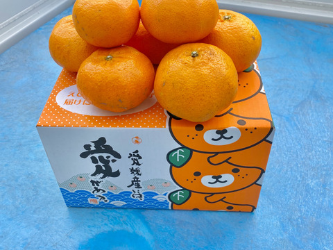 数量限定　愛媛県産　瀬戸内海　島育ち　甘平 5kg （箱込み）