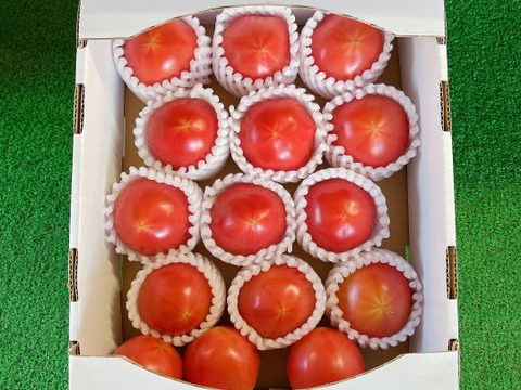 丸かじり!小粒こてらんねぇトマト(箱入り)