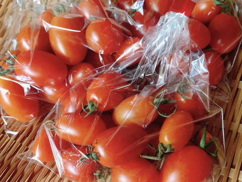 むらざと自然農園のミニトマト約1キロ
農薬化学肥料一切不使用！
岐阜県加茂郡白川町黒川！
自然豊かな黒川で太陽をいっぱい浴びて育った美味しいミニトマトです！！