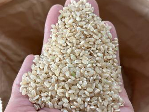 【農薬・肥料不使用】令和五年産　夢つくし　玄米