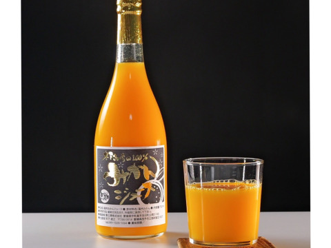 【贈り物にもピッタリ】木下さんちの100%みかんジュース3本セット720ml