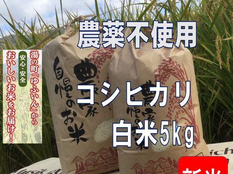 2024年産「ゆふいんのめぐみ」ひとめぼれ分つき精米10kg 令和6年新米】ゆふいんのめぐみ“ひとめぼれ白米10kg”：大分県産