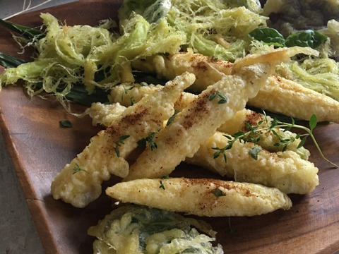 ヤングコーンであなたの人生変わったらゴメンナサイ（60サイズ）