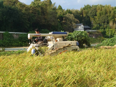 【新米】森のくまさん2025年米　5kg【篤壌シリーズ】