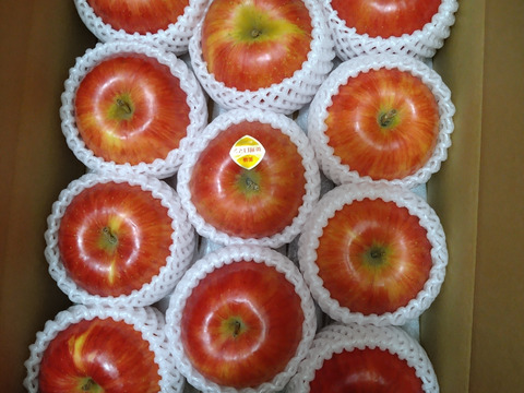 上質な甘みと香り! 岩手江刺産【奥州ロマン】３㎏