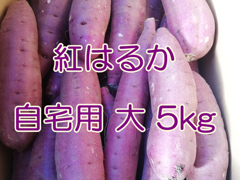 【自宅用】 里山ファームの紅はるか 大きなサイズ ５ｋｇ