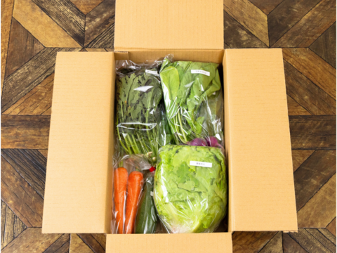 希少な自然栽培の野菜ボックス【Ｓサイズ】