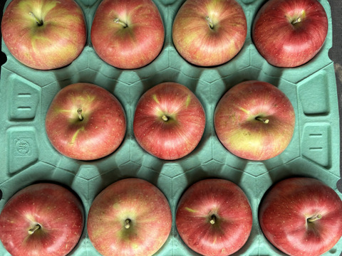 シナノスイート　ご家庭用　【5kg】