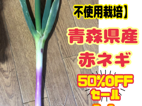 ※売りつくしセール・数量限定販売【農薬・化学肥料不使用栽培】青森県産 赤ネギ