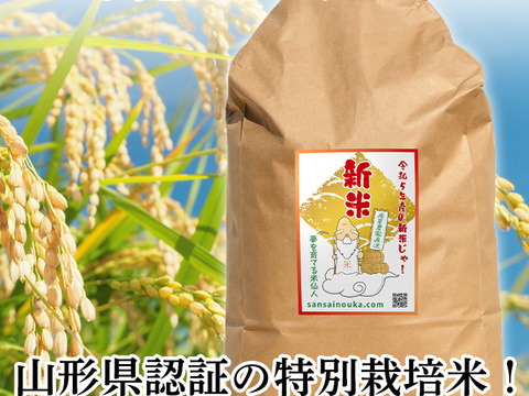 金賞受賞米！農薬5割減つや姫9.8キロ令和5年産白米　甘味のある新食感！