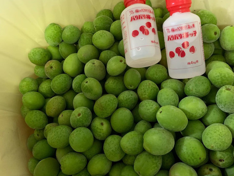 【期間限定】【梅郷】梅の香り　2キロ