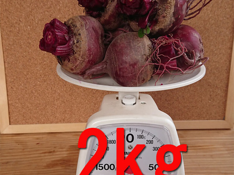 ３月より順次発送『高糖度ビーツ（葉付き）2kg』 南房総市産 発送当日に収穫!