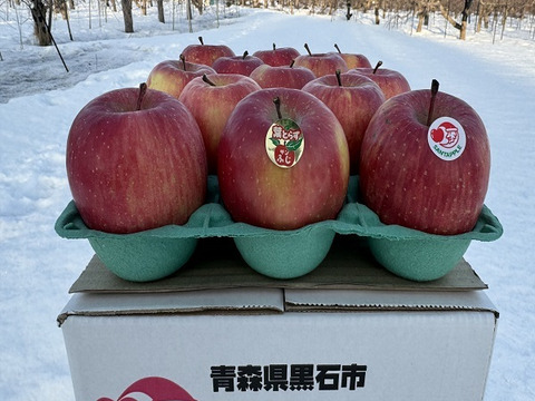 蔵出し春りんご　葉とらずサンふじ　小玉　約3キロ　13個前後入　農家直送青森りんご