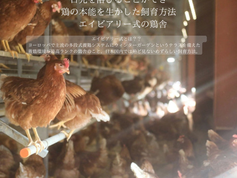 黄身が甘い！富士山麓の放し飼い卵『福が、きた』【10個入×2PC】