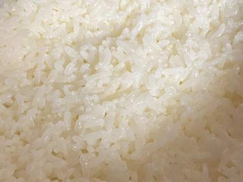 ★新米【令和4年度産】　日本最北端の生産地で作られたお米　ゆめぴりか（農薬不使用）5kg（精米)