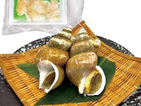 【夏の風物詩】白バイ貝すぐに食べれる刺身の4個セット。島根県沖で獲れた新鮮な白バイ貝を解凍だけの簡単調理。