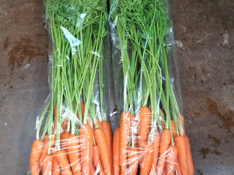 葉っぱもおいしい葉つきベビーキャロット(1kg)野菜スティックにおすすめ！【栽培期間中、農薬・化学肥料不使用・泥なし】