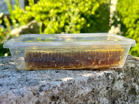 人気を誇る 貴重なニホンミツバチの巣蜜 350g：山口県産のはちみつ｜食べ その他
