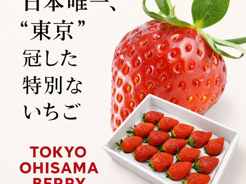 「東京おひさまベリー」(9～20粒入り、約350g)【贈答用大粒いちご】 東京生まれのニューブランド 　 イチゴ 苺 ギフト スイーツ 果物 プレゼント 贈り物 お礼品 御礼品 誕生日