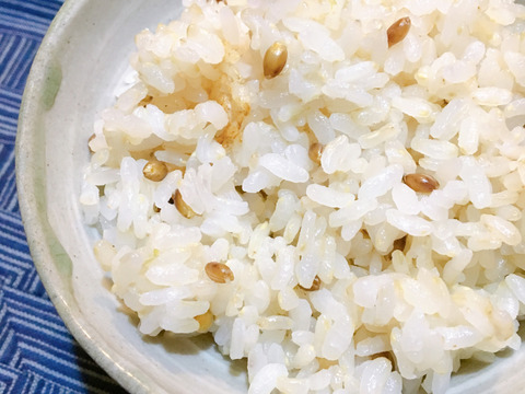 〈メール便〉生命力溢れる もち麦（ダイシモチ）【無肥料・栽培期間中農薬不使用 自然栽培 天日干し】