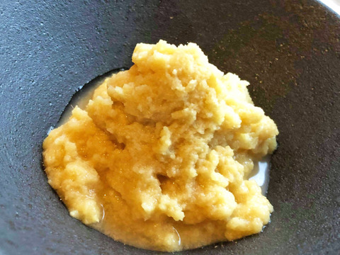 40%OFF!! 自然栽培の冷凍生姜ペースト業務用100g 40個
