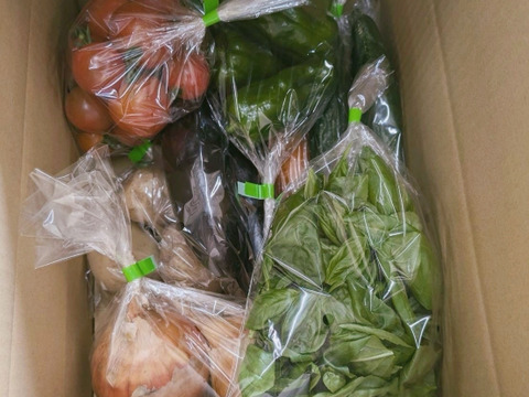 からだが喜ぶ旬野菜おまかせセット【６～７種類】