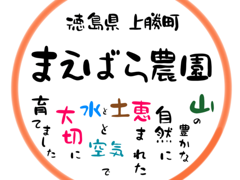 乳酸菌後発酵　神田茶（じでんちゃ）上勝産阿波番茶　茶枝・くき茶・棒茶 80g
