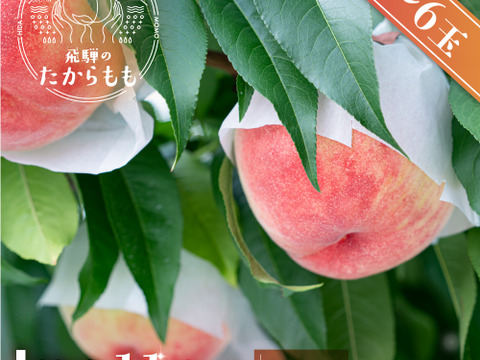 【2026年予約】飛騨のたからもも糖度11度以上1.5kg（4-6玉）👑金賞受賞👑全国桃グランプリ2024