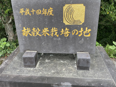 熊本県産ヒノヒカリ10kg