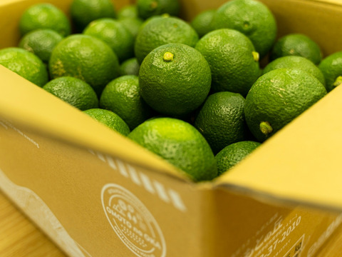 期間限定 生でギュッと 猛暑にはスッキリかぼす ５kg 大分県産 食べチョク 農家 漁師の産直ネット通販 旬の食材を生産者直送