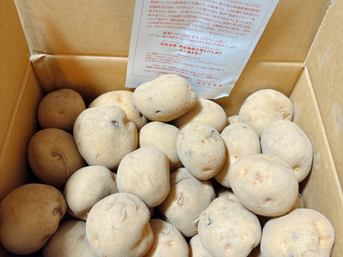 【期間限定】訳ありじゃがいも　キタアカリ　5㎏