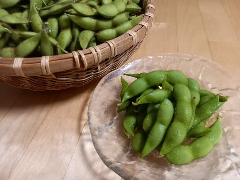 ついつい食べ過ぎちゃう！『黒枝豆』たんくろう　1kg