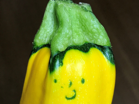 【自然栽培】ズッキーニ＋きゅうり 固定種セット 4kg以上★農薬・肥料不使用