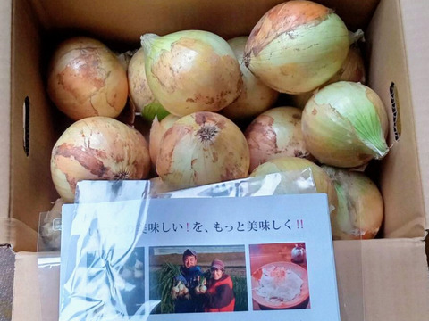 【家庭用】元気いっぱいの淡路島　新玉ねぎ！（5ｋｇ）【ひょうご安心ブランド認証】訳あり