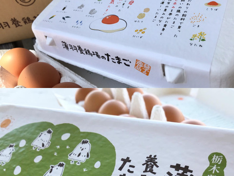 【食べ比べセット】枯草菌の赤たまご+酵母の平飼いのたまご