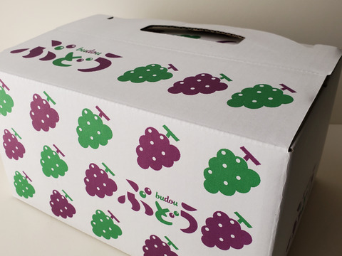 岩手県岩手県産 サニールージュ（種なし）2房入 BOX